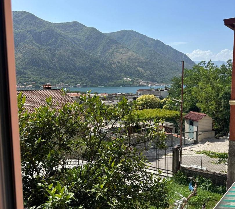 Photo of Others in Kotor