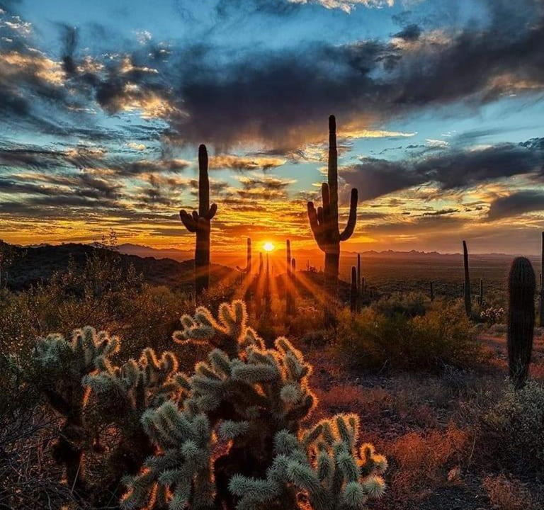 Photo of Others in Chandler