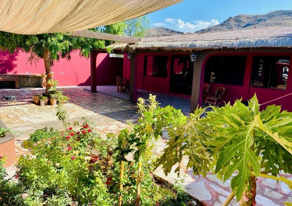 Photo of Others in Mulege