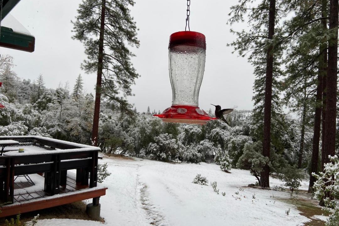 Photo of Others in Mariposa
