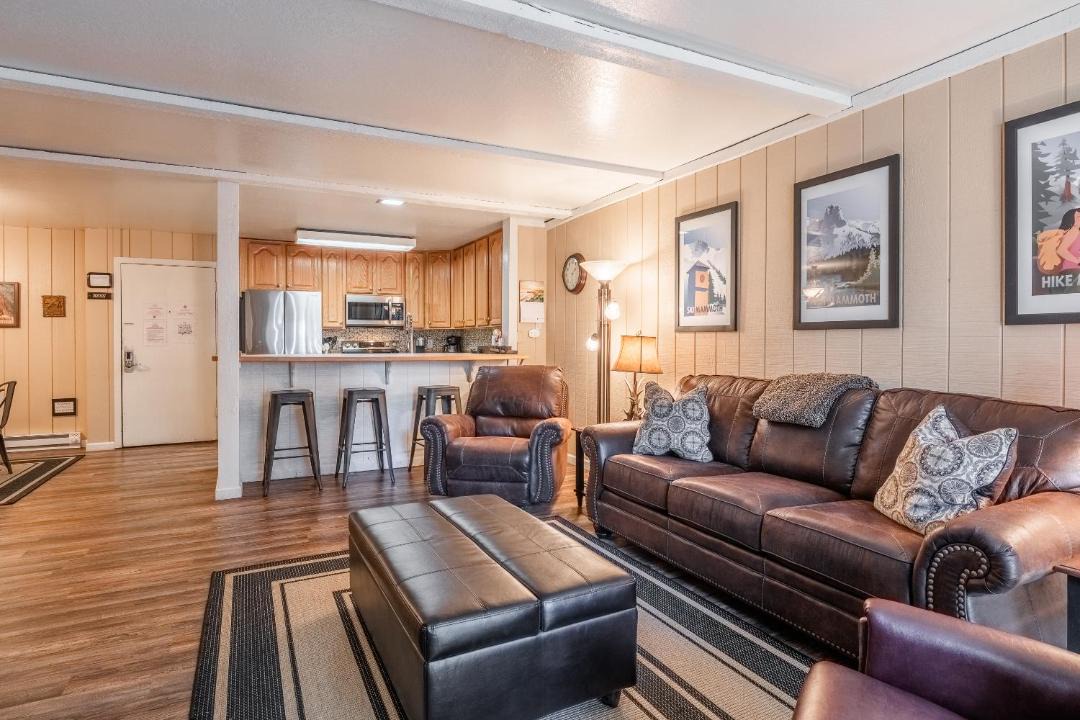 Photo of Livingroom in Mammoth Lakes