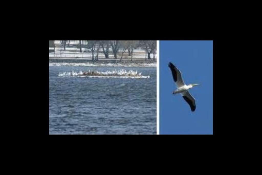 Photo of Others in Le Claire