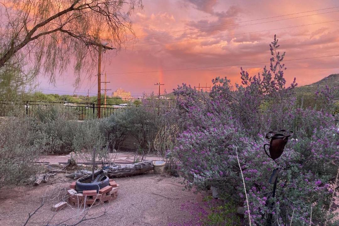 Photo of Others in Tucson