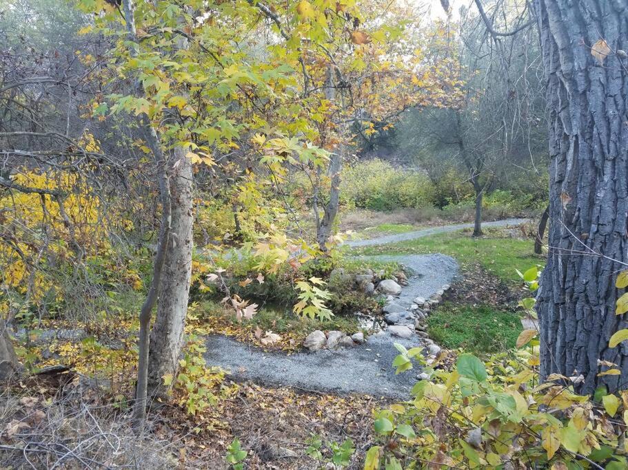 Photo of Others in Three Rivers