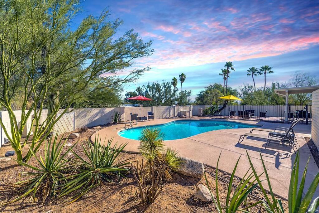 Photo of Outdoor in Tucson