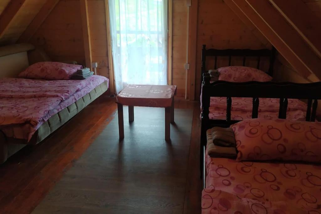 Photo of Others in Montenegro