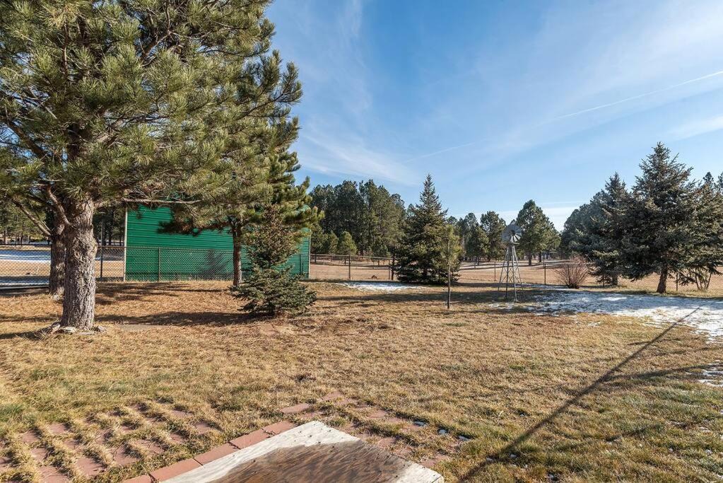 Photo of Others in Custer