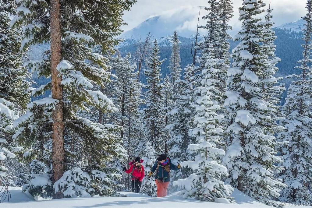 Photo of Others in Fraser