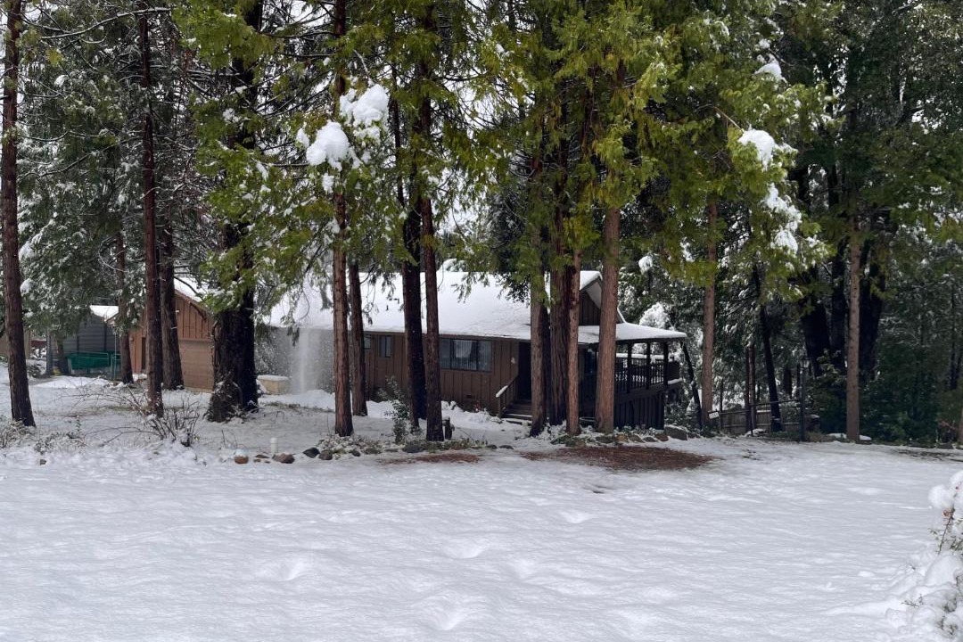 Photo of Others in Mariposa