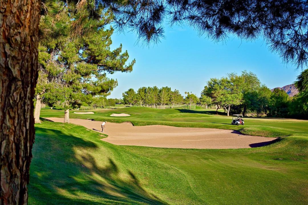 Photo of Others in North Scottsdale