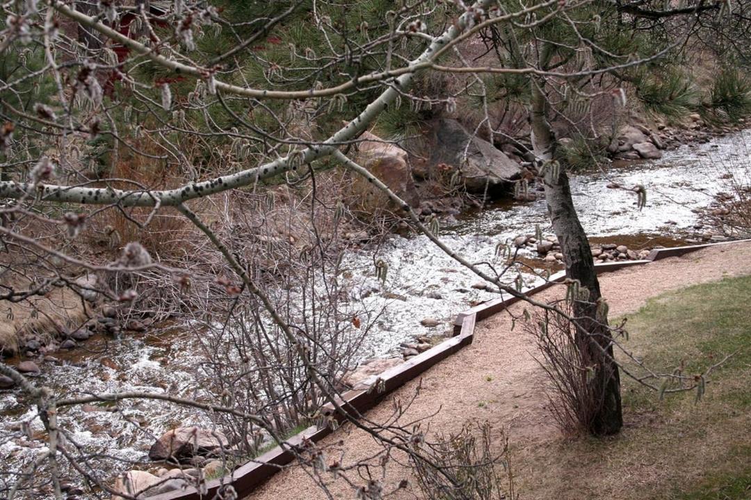 Photo of Others in Estes Park