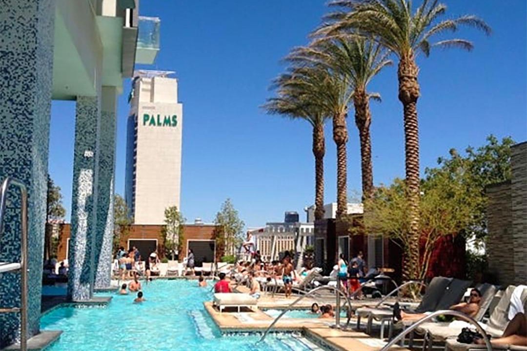 Photo of Others in Las Vegas