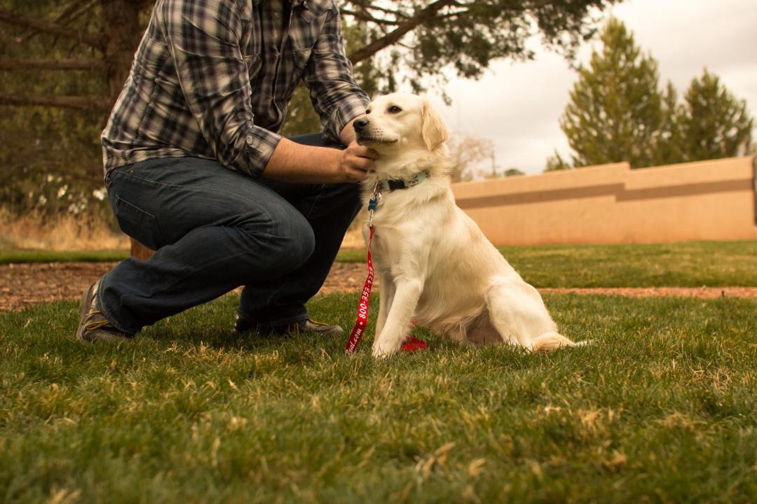 Photo of Others in West Sedona