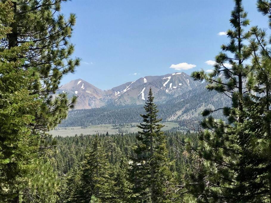 Photo of Others in Mammoth Lakes