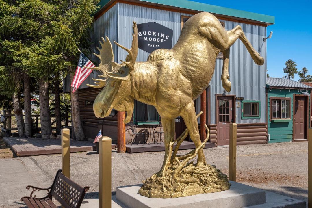 Photo of Others in West Yellowstone
