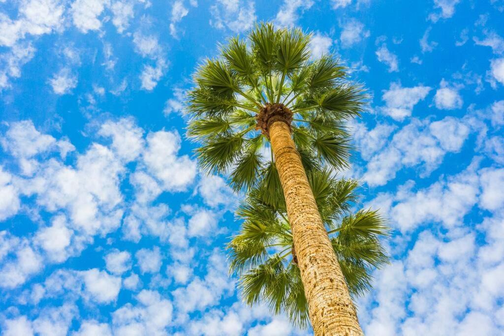 Photo of Others in South Scottsdale