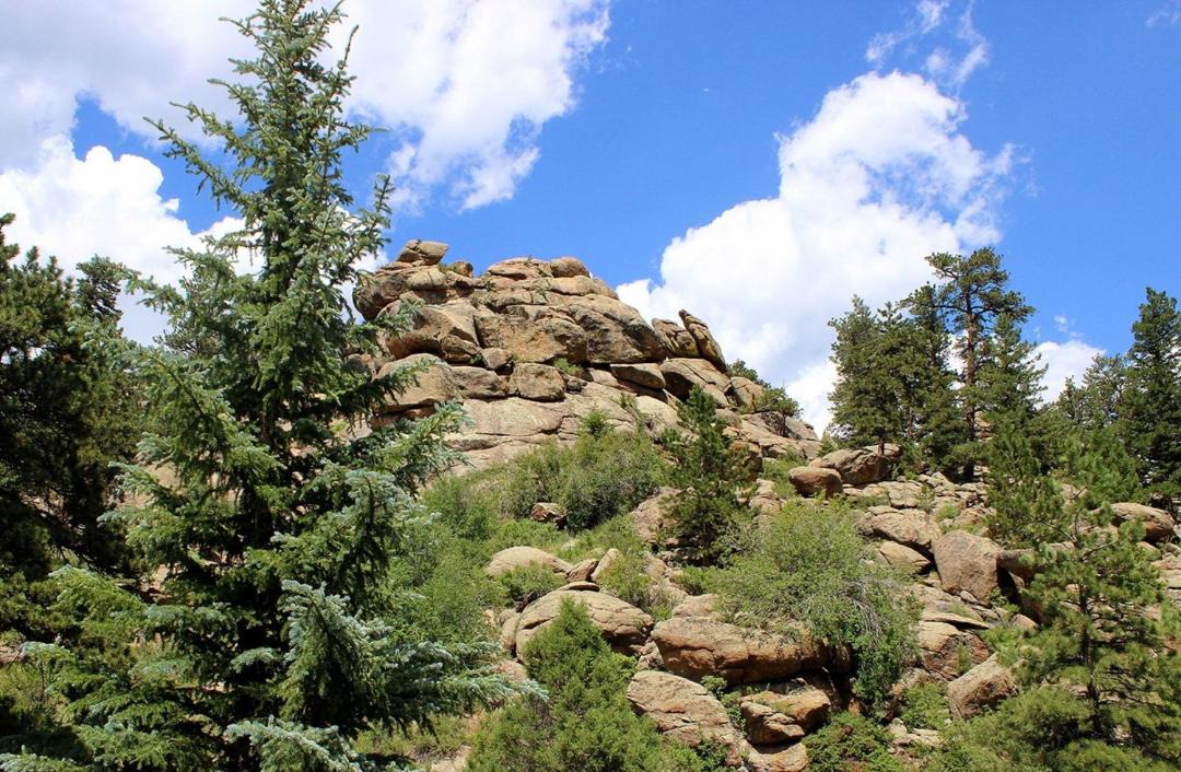 Photo of Others in Estes Park