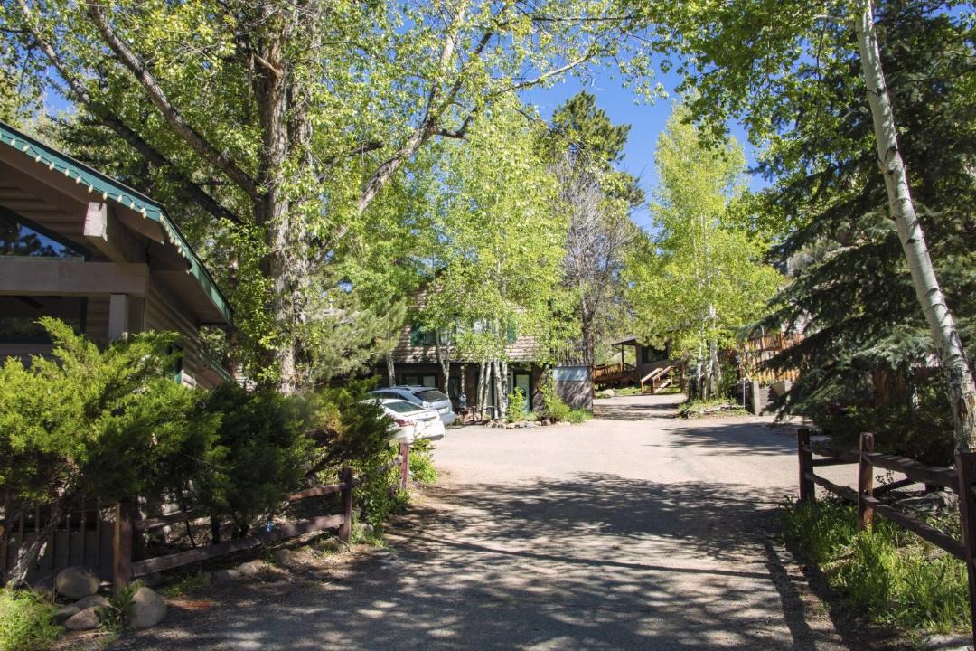 Photo of Others in Estes Park