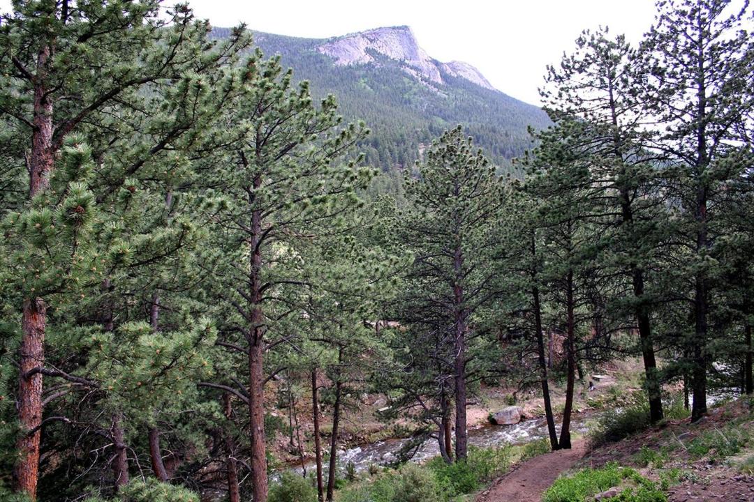 Photo of Others in Estes Park