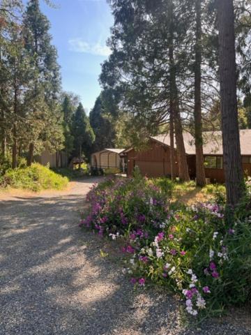 Photo of Others in Mariposa