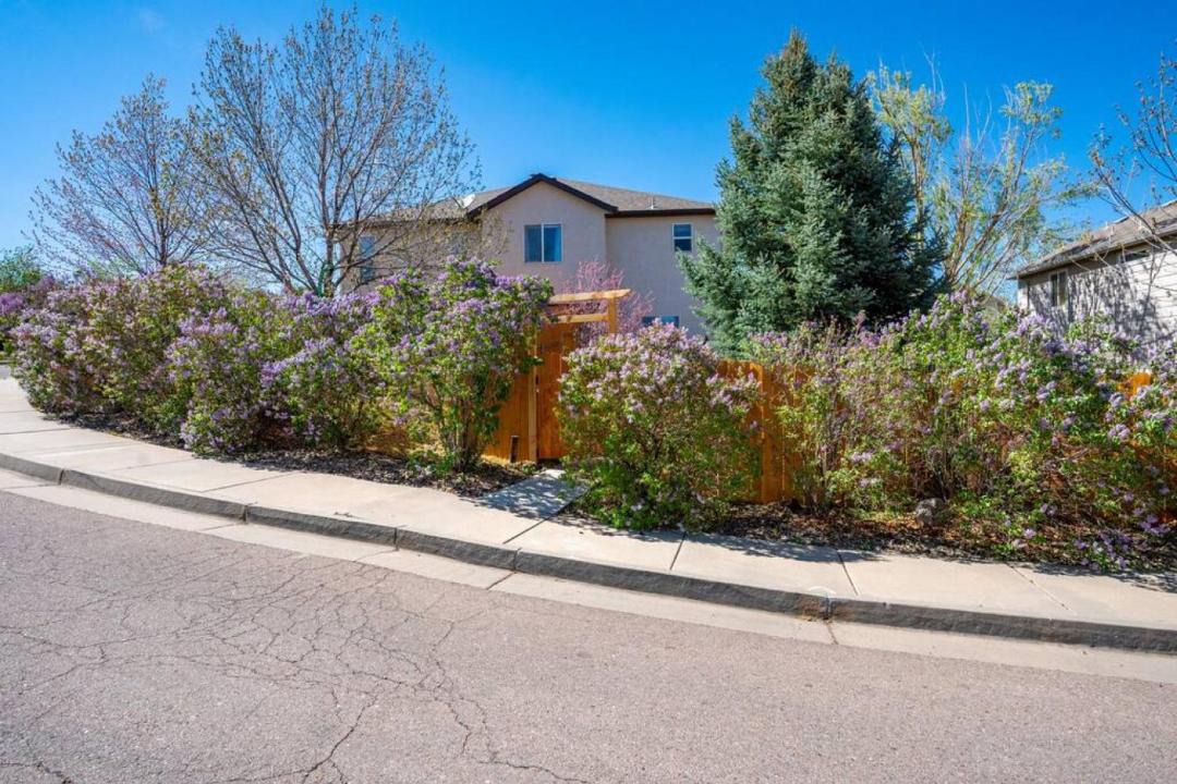 Photo of Others in Colorado Springs