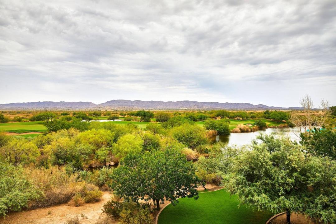 Photo of Others in Chandler