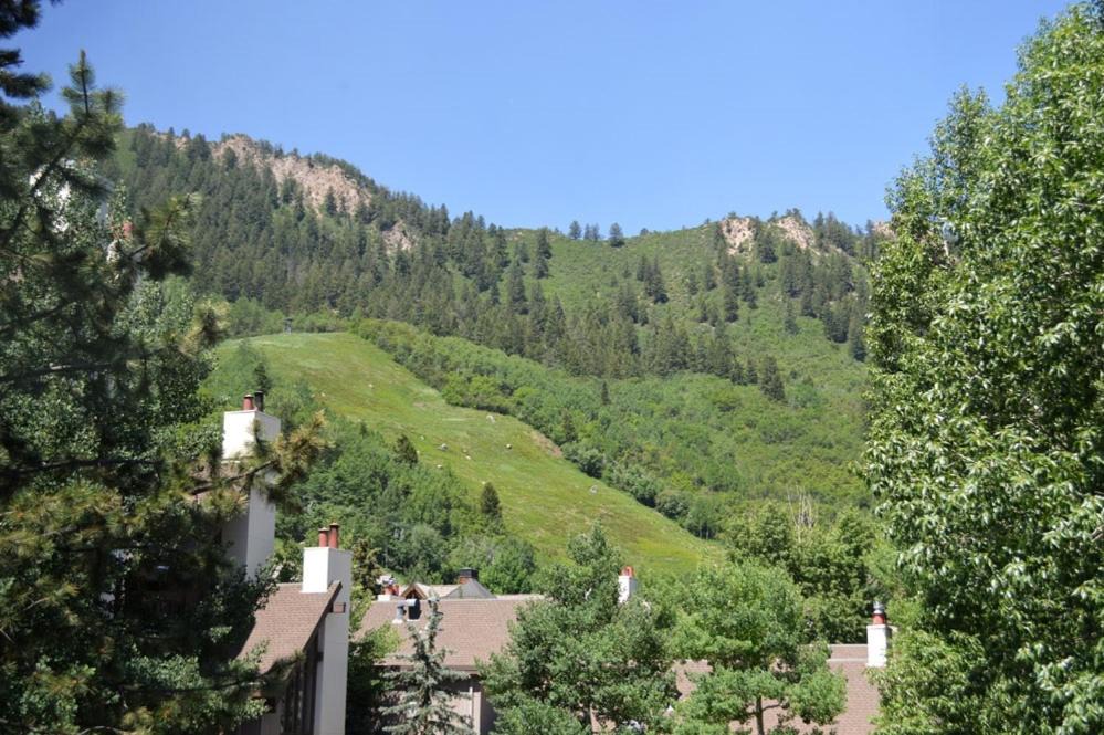 Photo of Others in Aspen