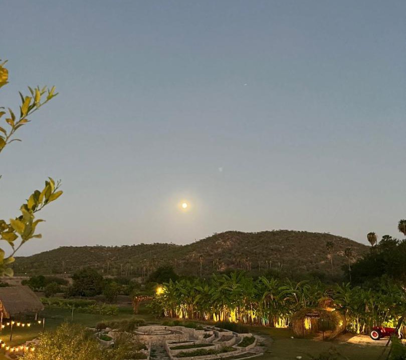 Photo of Others in San Jose del Cabo