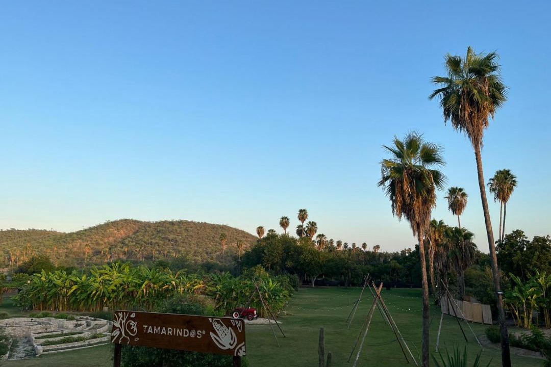 Photo of Others in San Jose del Cabo