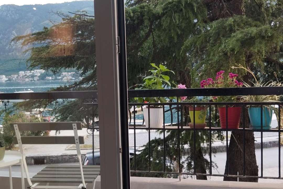 Photo of Others in Kotor