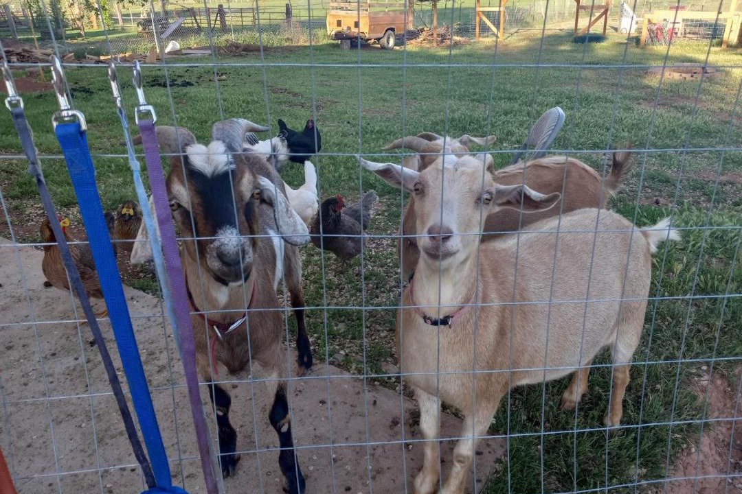 Photo of Others in Paragonah