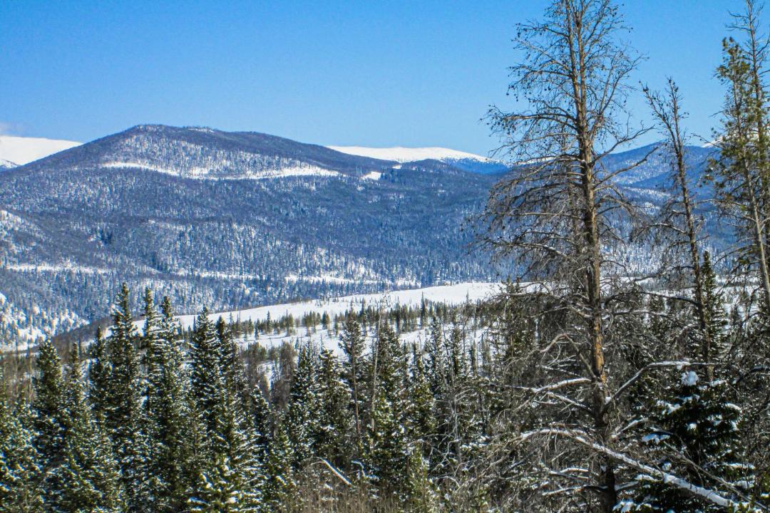 Photo of Others in Wildernest