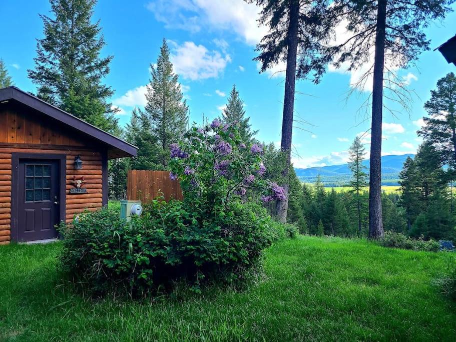 Photo of Buildings in Whitefish