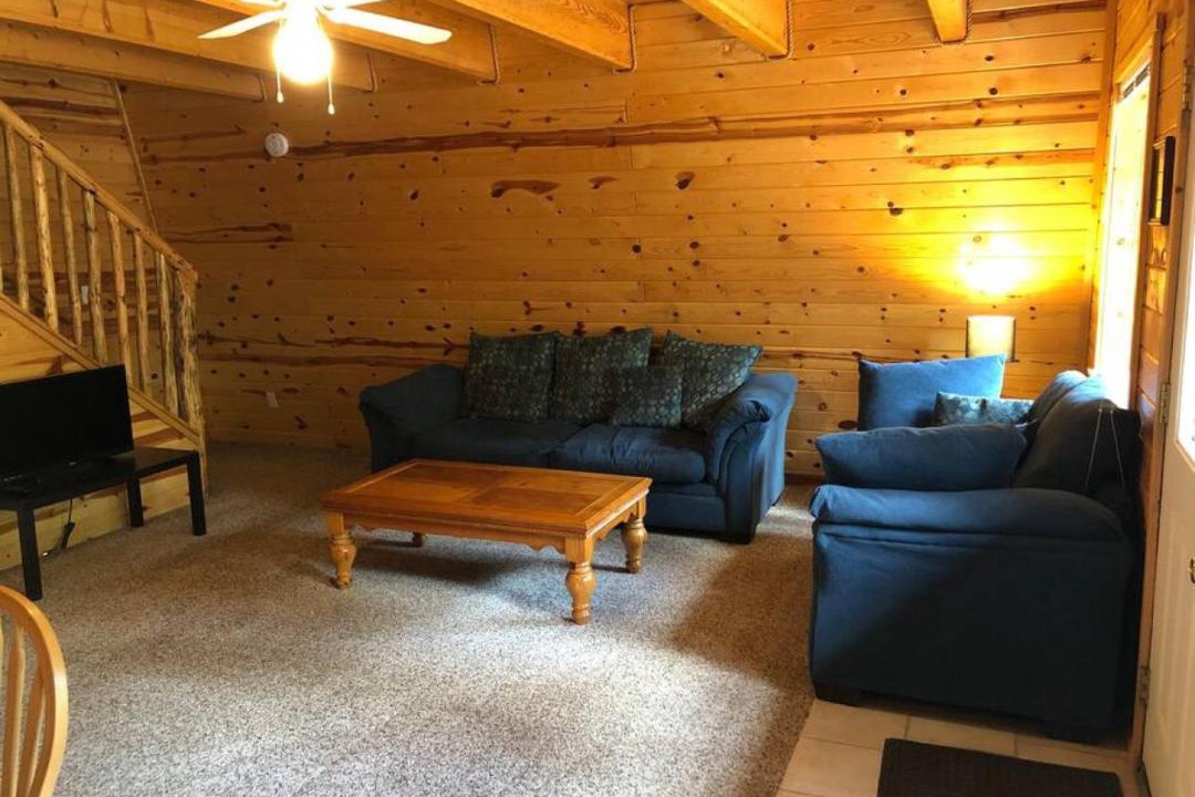 Photo of Livingroom in Island Park