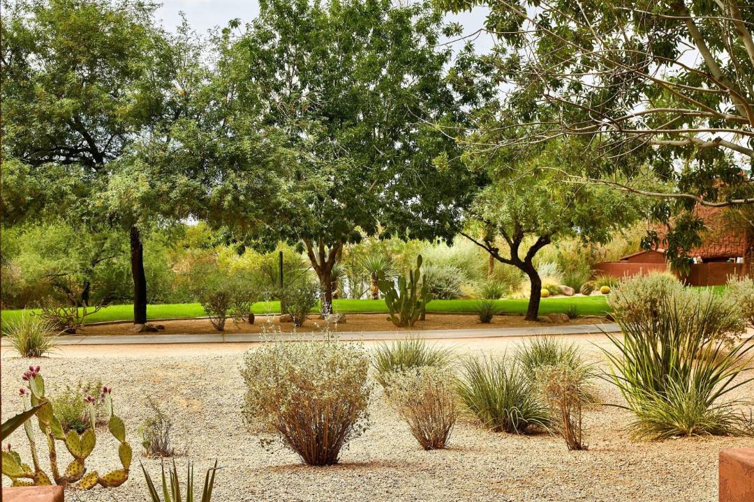 Photo of Others in Chandler