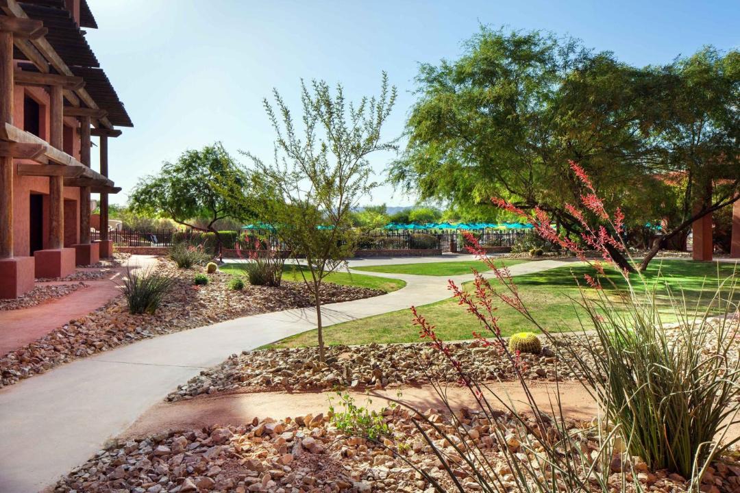 Photo of Others in Chandler