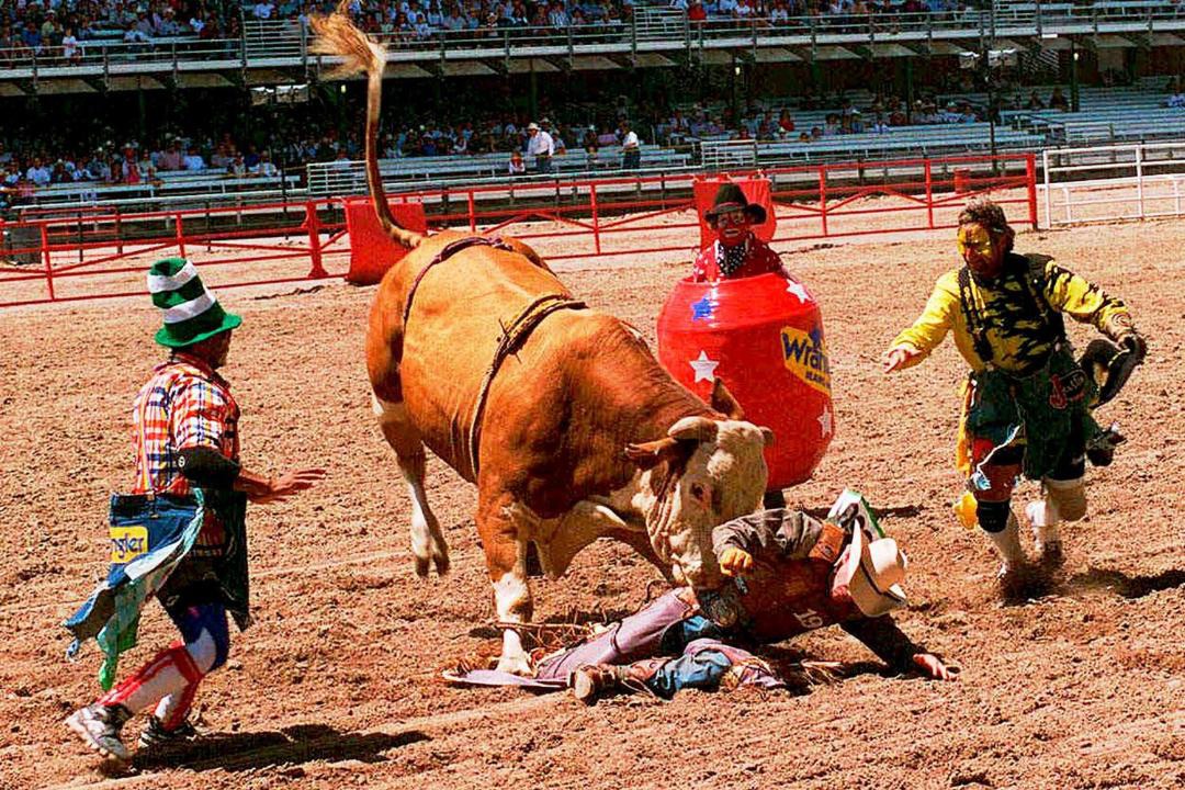 Photo of Others in Cheyenne