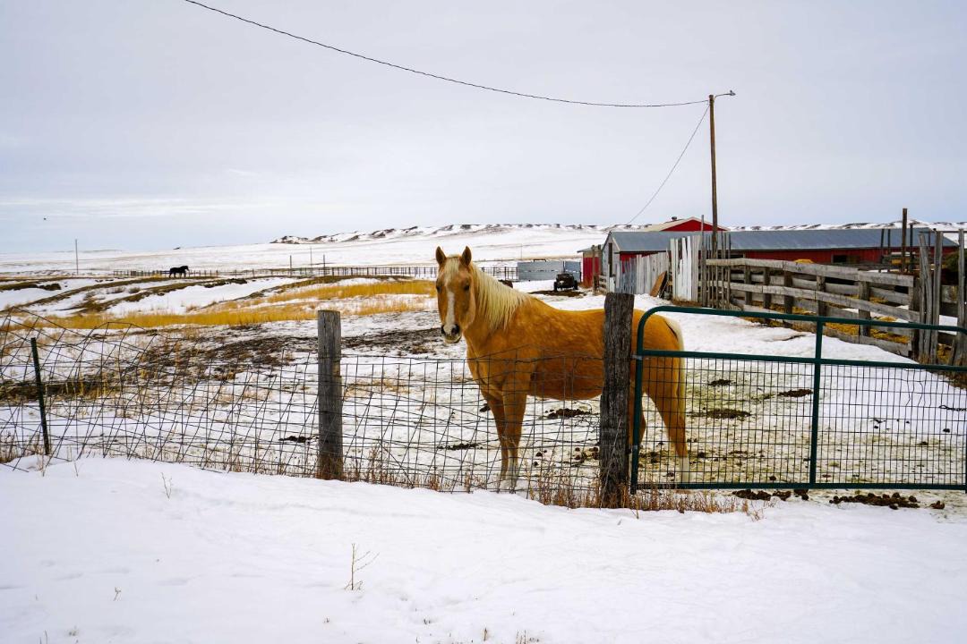 Photo of Others in Lindsay