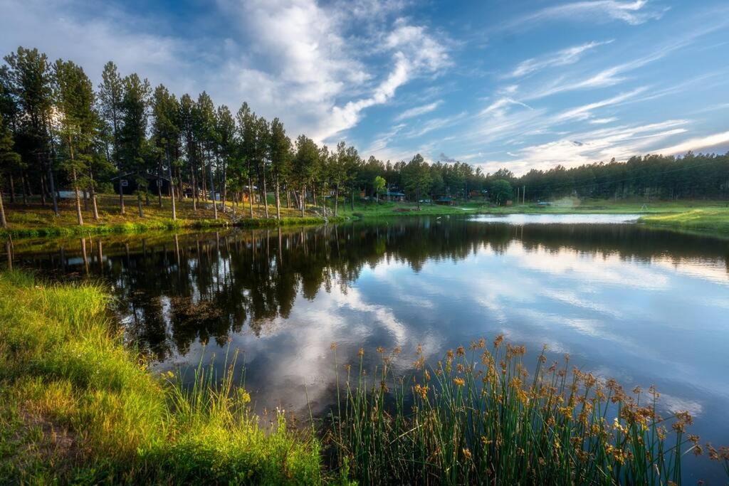 Photo of Outdoor in Custer