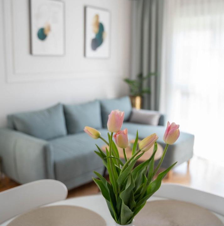 Photo of Livingroom in Kotor