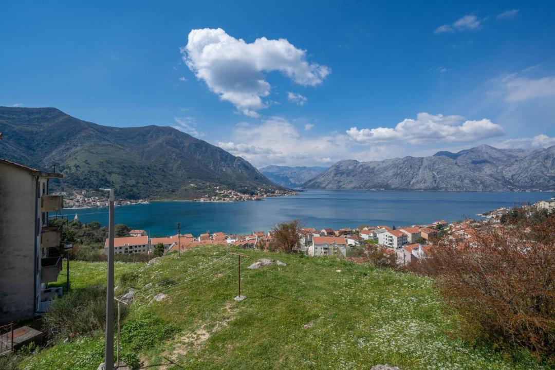 Photo of Others in Kotor