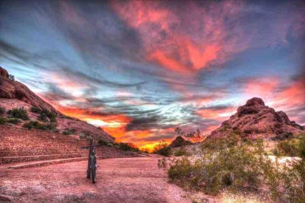 Photo of Others in Tempe