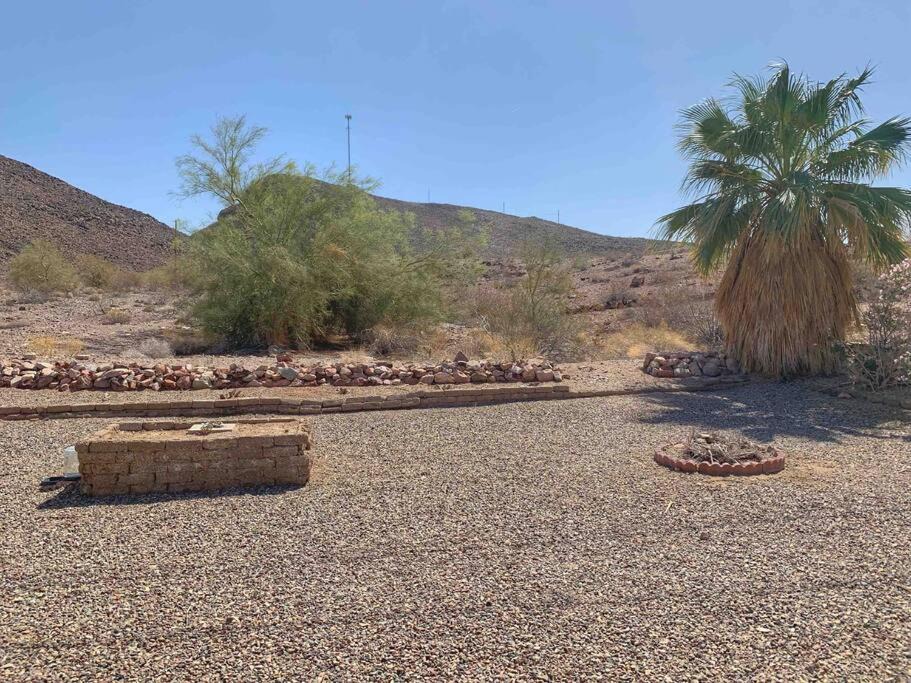 Photo of Others in Lake Havasu City