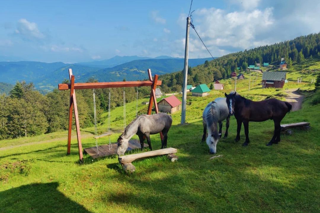 Photo of Others in Montenegro