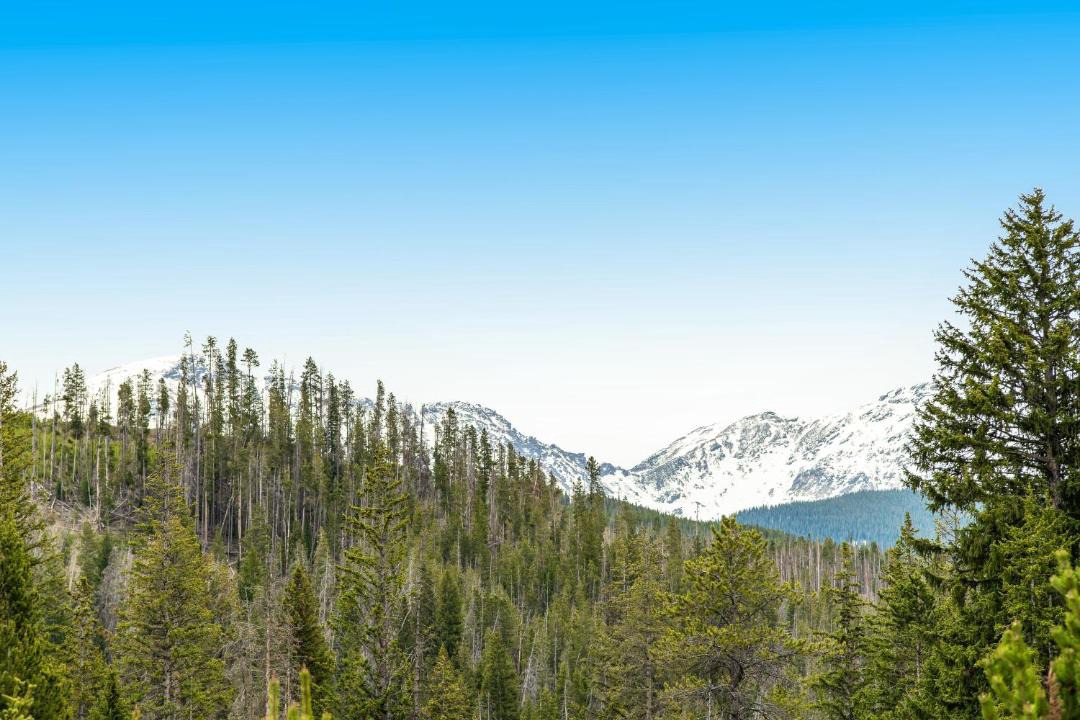 Photo of Others in Winter Park