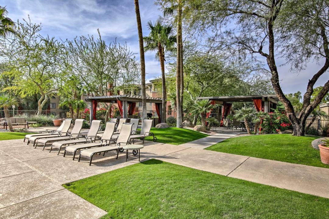 Photo of Others in Camelback East