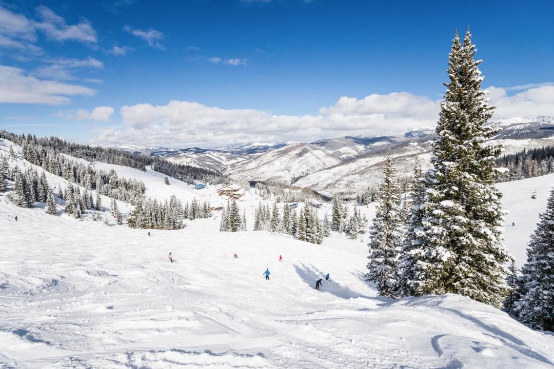 Photo of Others in Vail