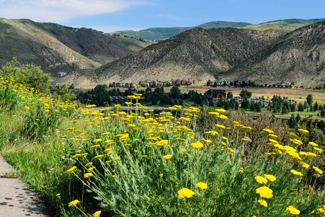 Photo of Others in Eagle-Vail
