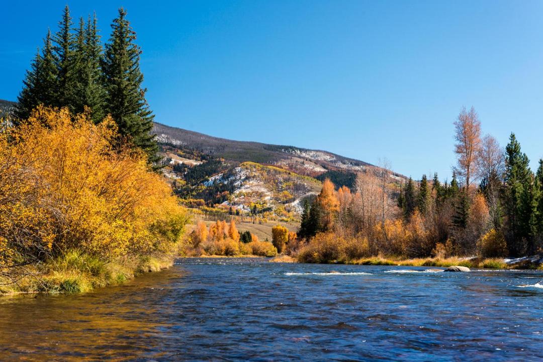 Photo of Others in Dillon