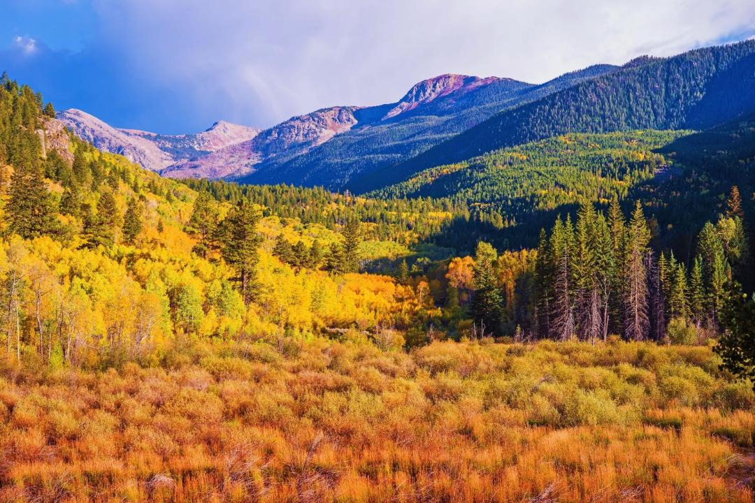 Photo of Others in Intermountain